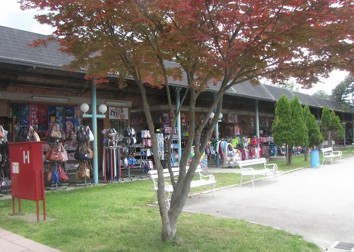 Happy Camp Mobile Homes In Terme Catez Kemping 4*